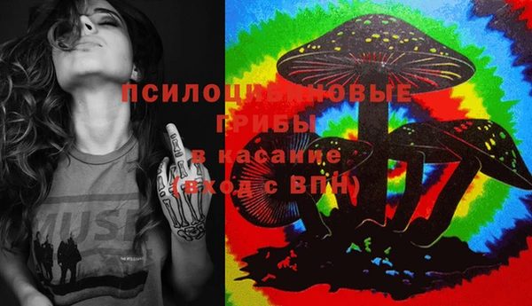 шишки Алзамай