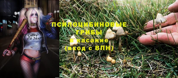 кокс Алексеевка