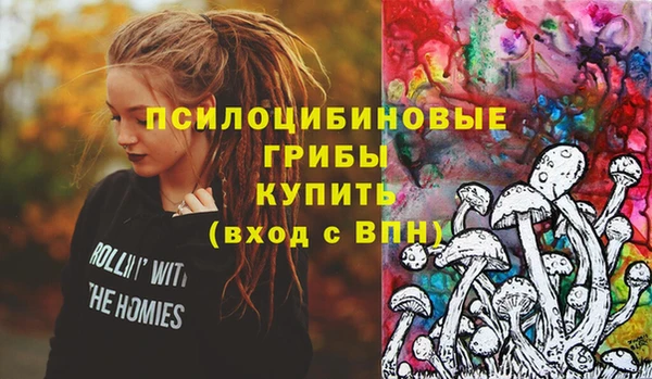 крисы Алексин