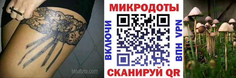 Галлюциногенные грибы Cubensis Данков