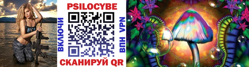 Галлюциногенные грибы Psilocybe  Данков 